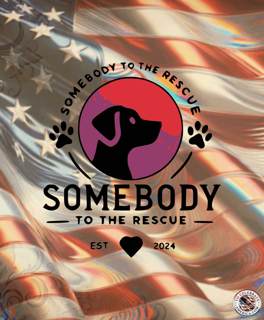 Somebody To The Rescue logo set against an American flag